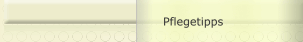 Pflegetipps