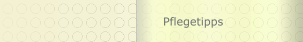 Pflegetipps